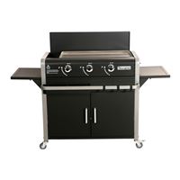 Barbecue – achatvente Barbecue Page 4 avec la Fnac Mode d'emploi Lagrange Barbecue Grill Concept (52 des pages)