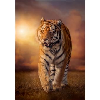 Puzzle 1500 pièces Clementoni High Quality Tiger