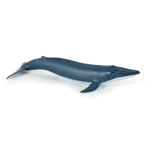 Papo Bleu/Blanc Figurine Bébé Baleine Et