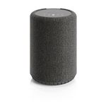 Enceinte multiroom sans fil Bluetooth Audio Pro A10 MkII Gris foncé