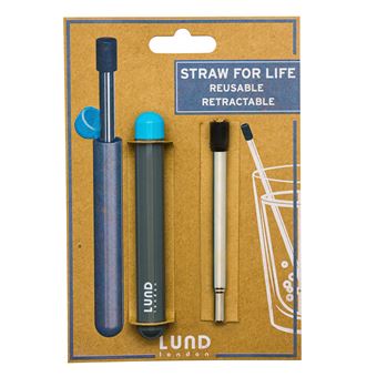 Paille Inox Lund London Skittle Gris et Vert