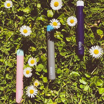 Paille Inox Lund London Skittle Gris et Vert