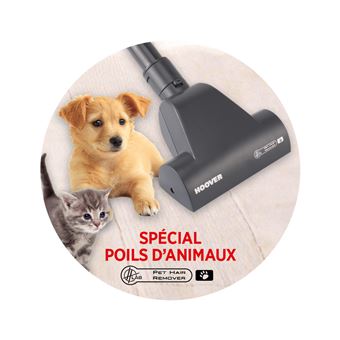 Aspirateur sans sac Candy CAF35PET 800 W Noir et Bleu