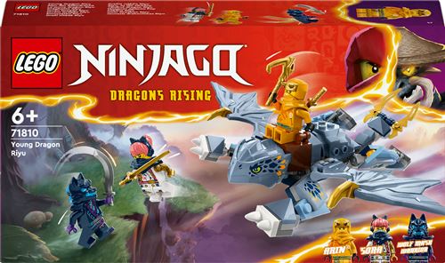 LEGO® Ninjago® 71810 Le jeune dragon Riyu