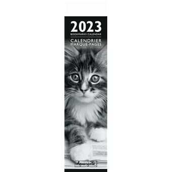 CALENDRIER 2023 MP CHATS NOIR ET BLANC