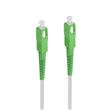 Câble fibre optique Accsup pour Box Internet 10 m Blanc et vert