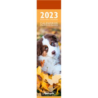 CALENDRIER 2023 MP CHIOTS