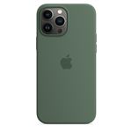 Coque en silicone avec MagSafe pour iPhone 13 Pro Max Eucalyptus