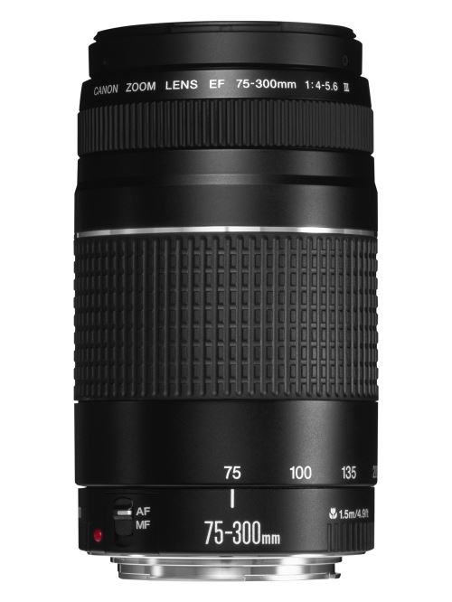 Canon EOS 250D Appareil Photo Reflex Numérique