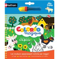 Clic educ mosaiques - jeu éducatif Nathan 