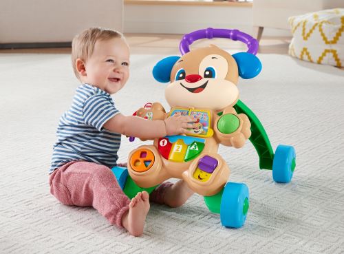 porteur trotteur fisher price puppy