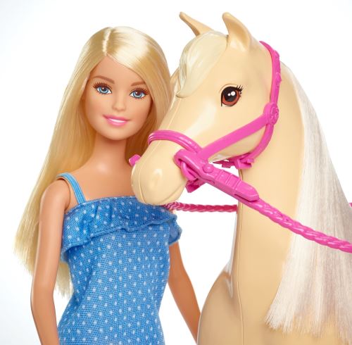 Coffret Poupee Barbie Avec Son Cheval Poupee Achat Prix Fnac
