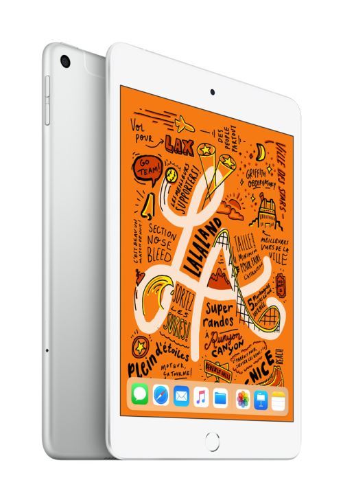 iPad Mini 256 Go WiFi + 4G Argent 7.9 2019 5 ème génération