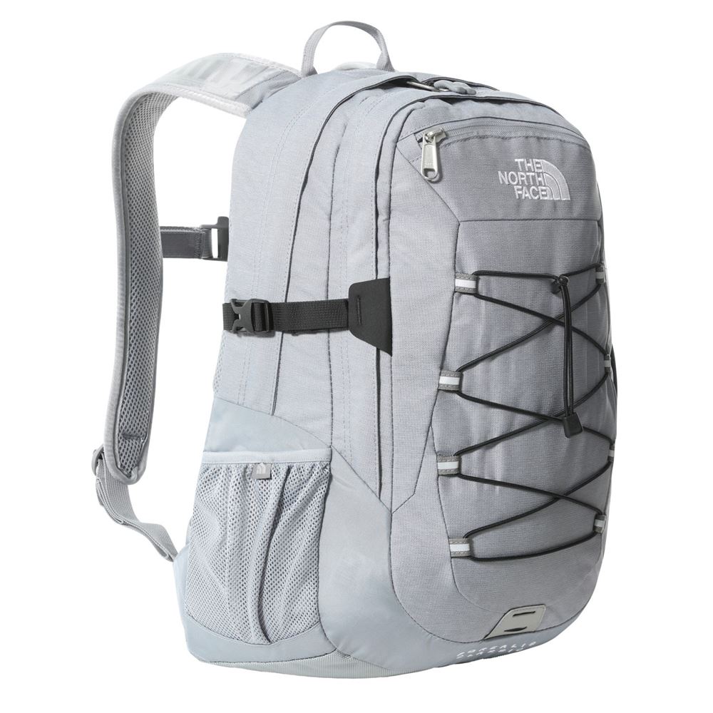 sac tnf borealis