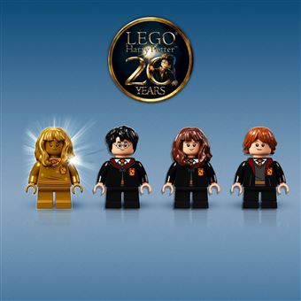 LEGO® Harry Potter™ 76387 Poudlard Rencontre avec Touffu