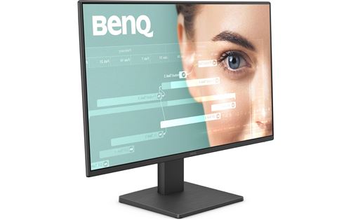BenQ GW2491 - Écran LED - 24" (23.8" visualisable) - 1920 x 1080 Full HD (1080p) @ 100 Hz - IPS - 250 cd/m² - 1300:1 - 5 ms - HDMI, DisplayPort