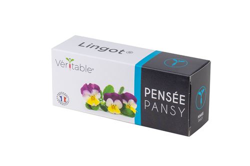 Recharge Véritable Lingot Pensées