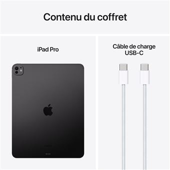 Apple-iPad-Pro-13-Puce-Apple-