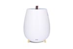 Tag 2 Blanc - Humidificateur à Ultrasons - 2,5L Capacité - 250ml/h - 30m²