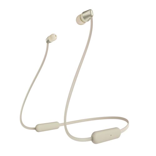 SONY WIC310 SILVER