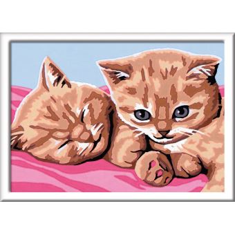Peinture par numéro Chat roux pour adultes - Kit créatif numero d