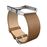 Fitbit Leather Band + Frame - armband_0