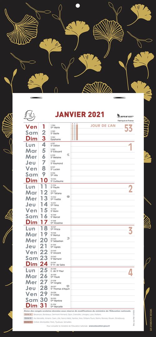 Calendrier mensuel Exacompta 16 x 33 cm Support Fleurs 2024 - Calendrier  planning et éphéméride à la Fnac