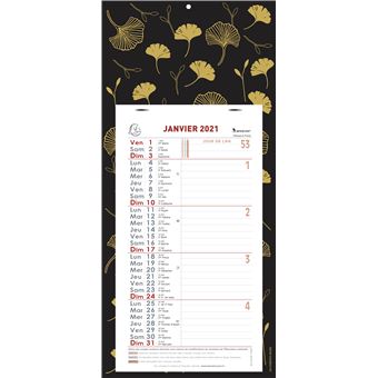 Calendrier mensuel Exacompta Ginkgo 2021 33 x 16 cm Noir