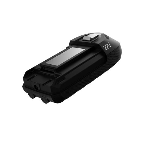 Batterie Rowenta Xforce Flex 22V Lithium-ion ZR009700 Noir