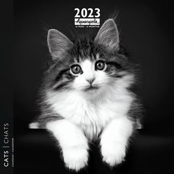 CALENDRIER 2023 30X30 CHATS NOIR ET BLANC