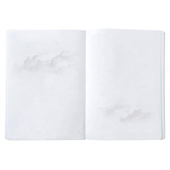 CARN RESISTANT ICONIQ CUBISME