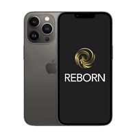 Apple iPhone 13 Pro Max 6,7" 5G Double SIM 128 Go Graphite Reconditionné Grade A Reborn