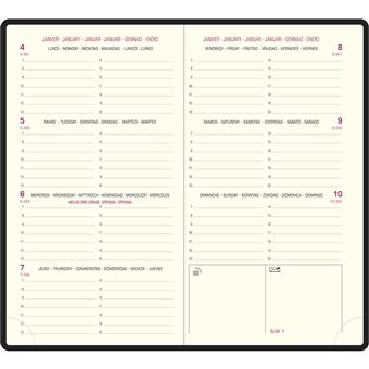 Agenda semainier Exacompta Eurotime 16 Ginkgo 16 x 8,5 cm 2022 Modèle aléatoire