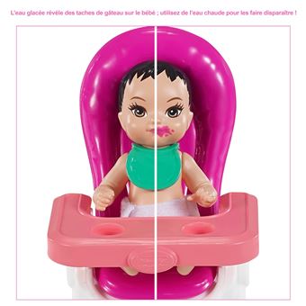 Coffret Barbie Poupée Skipper Anniversaire