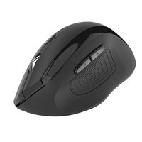 Souris sans fil ergonomique ItWorks WM-791 Noir