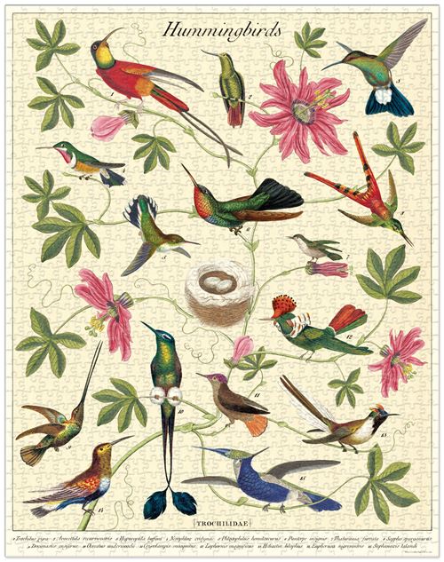 Puzzle LetterBox Colibri 1000 pièces