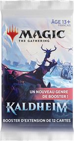 Jeu de cartes Magic Set Booster Kaldheim