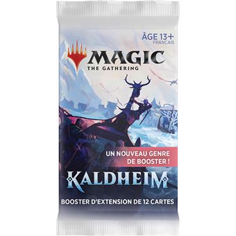 Jeu de cartes Magic Set Booster Kaldheim