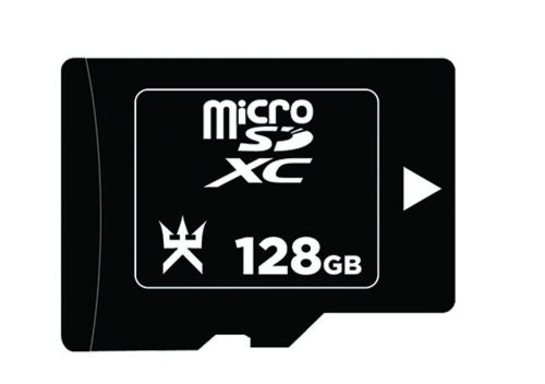 Carte MicroSD Alpha Omega Players 128 Go pour Nintendo Switch