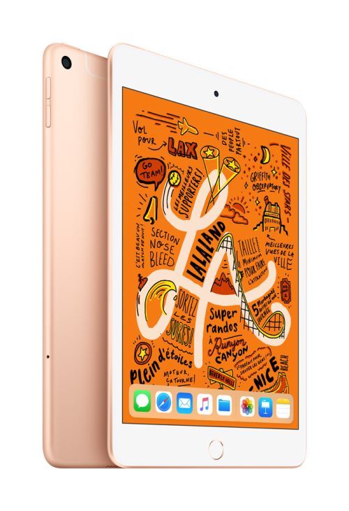 Nieuwe Apple iPad Mini 256 GB WiFi + 4G Goud 7.9