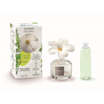 Fleur à parfum Esteban Citronnelle menthe 75 ml