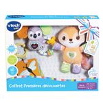 Jeu d'éveil Vtech Baby Coffret naissance Premières découvertes