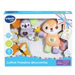 Jeu d'éveil Vtech Baby Coffret naissance Premières découvertes