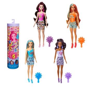 Panoplie barbie arc en ciel best sale