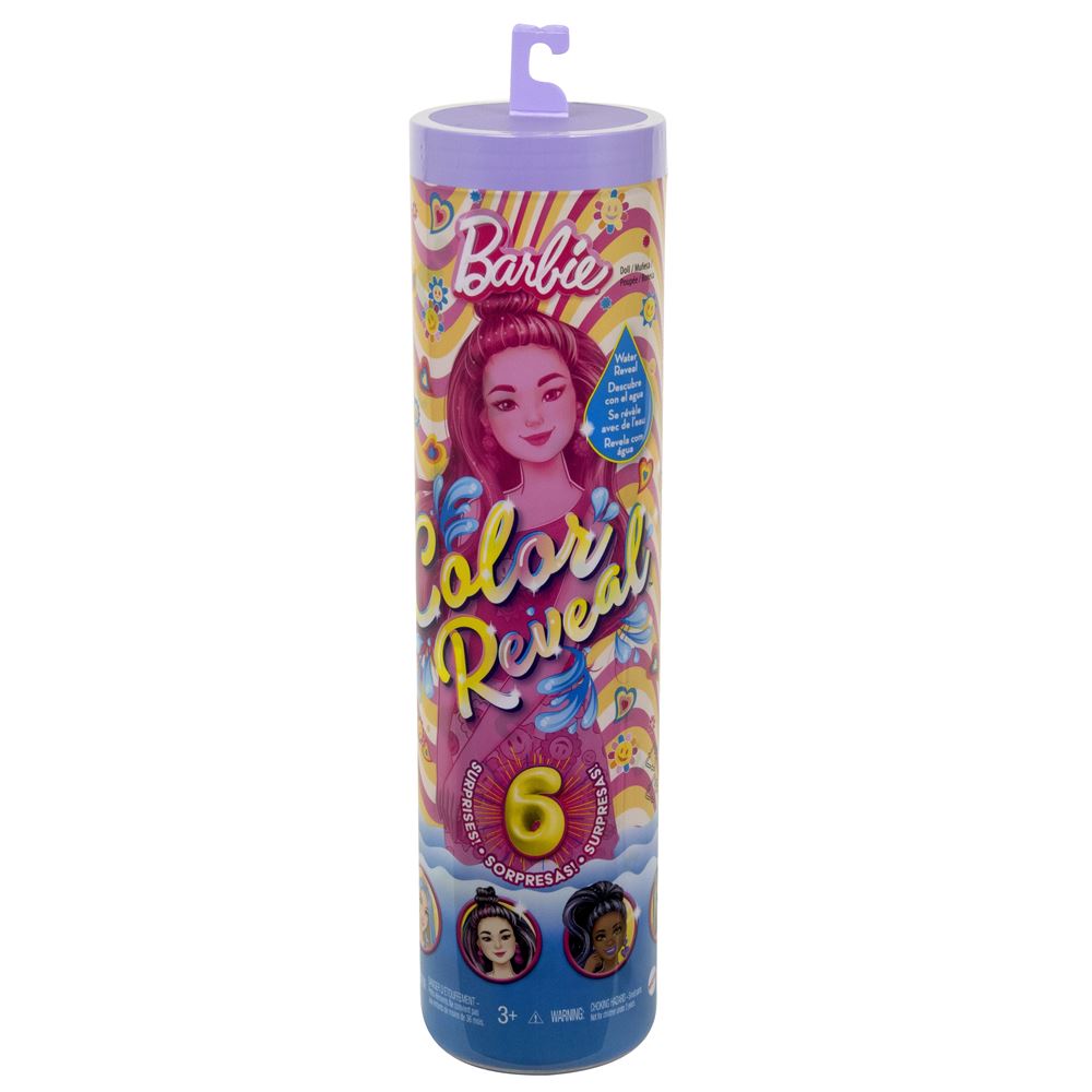 Panoplie barbie arc en ciel store