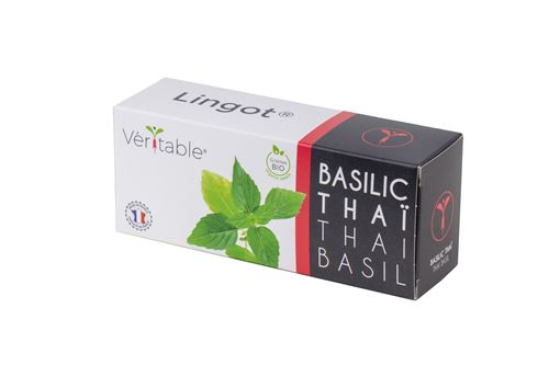 Recharge Véritable Lingot Basilic Thaï BIO
