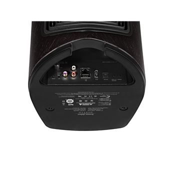 Enceinte connectée Hi-Fi Sonus Faber Duetto Graphite vendues par paire