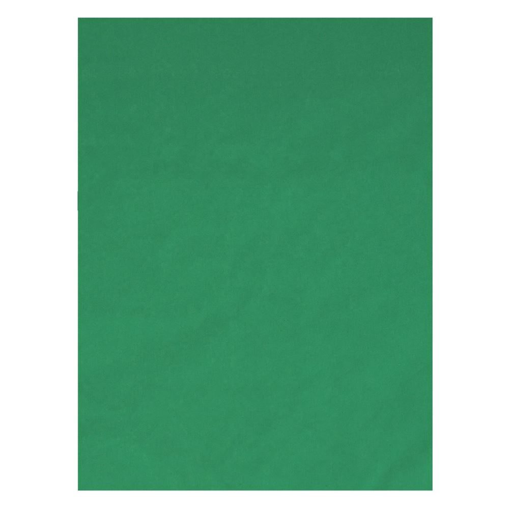 Fond Vert Avec Support Duronic TPS13 GN Fond Vert Sur Trépied De 150 X 130 Cm Décor Pour Filmer Des Vidéos Et Créer Du Contenu Ecran Vert Pour Effets Spéciaux Ou Studio