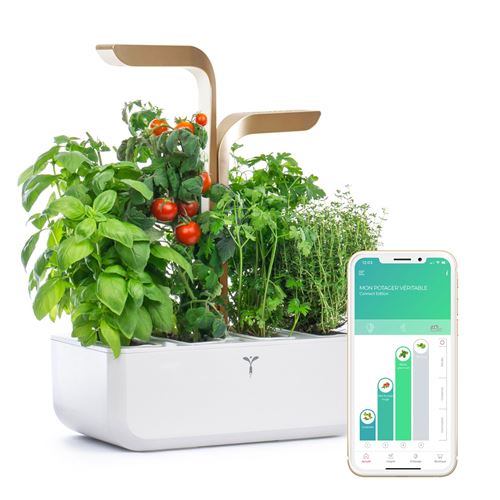 Potager d’intérieur connecté Véritable Connect Moonlight Gold