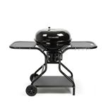 Barbecue charbon avec tablettes Livoo DOC246 Noir